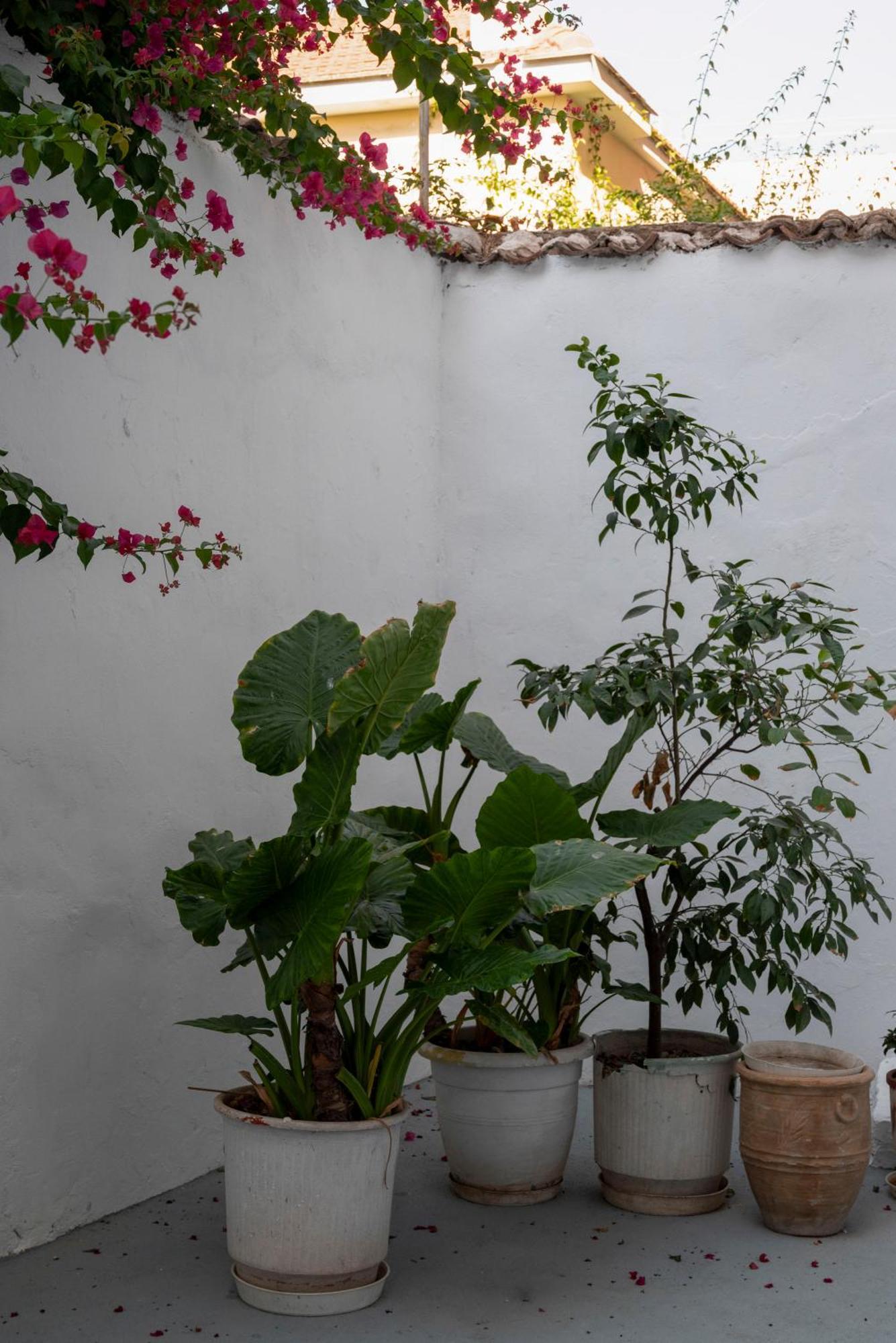Thissio Getaway 2Ba Next To Athens Ancient Market Εξωτερικό φωτογραφία