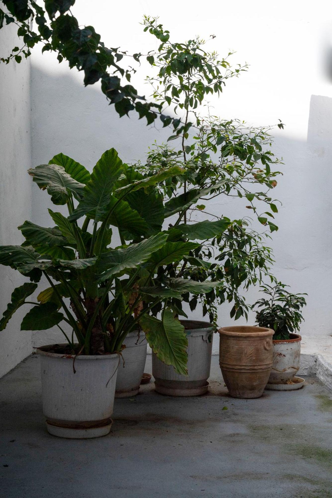 Thissio Getaway 2Ba Next To Athens Ancient Market Εξωτερικό φωτογραφία